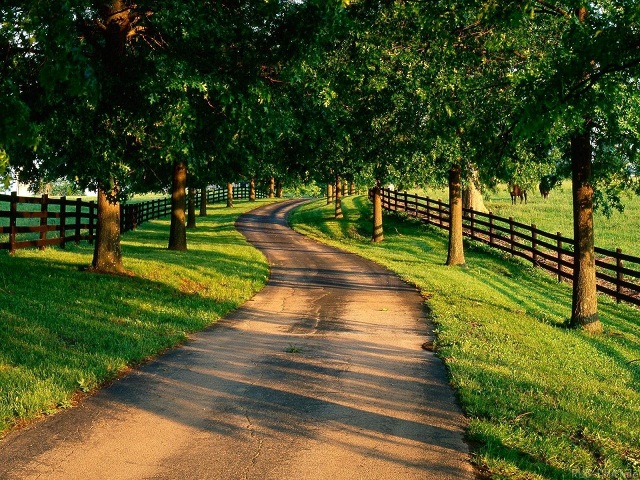 Web漏洞扫描工具